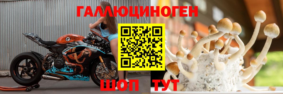 Галлюциногенные грибы Psilocybine cubensis  Вход с VPN  Тайшет 
